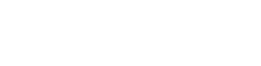 Ponguinguiola